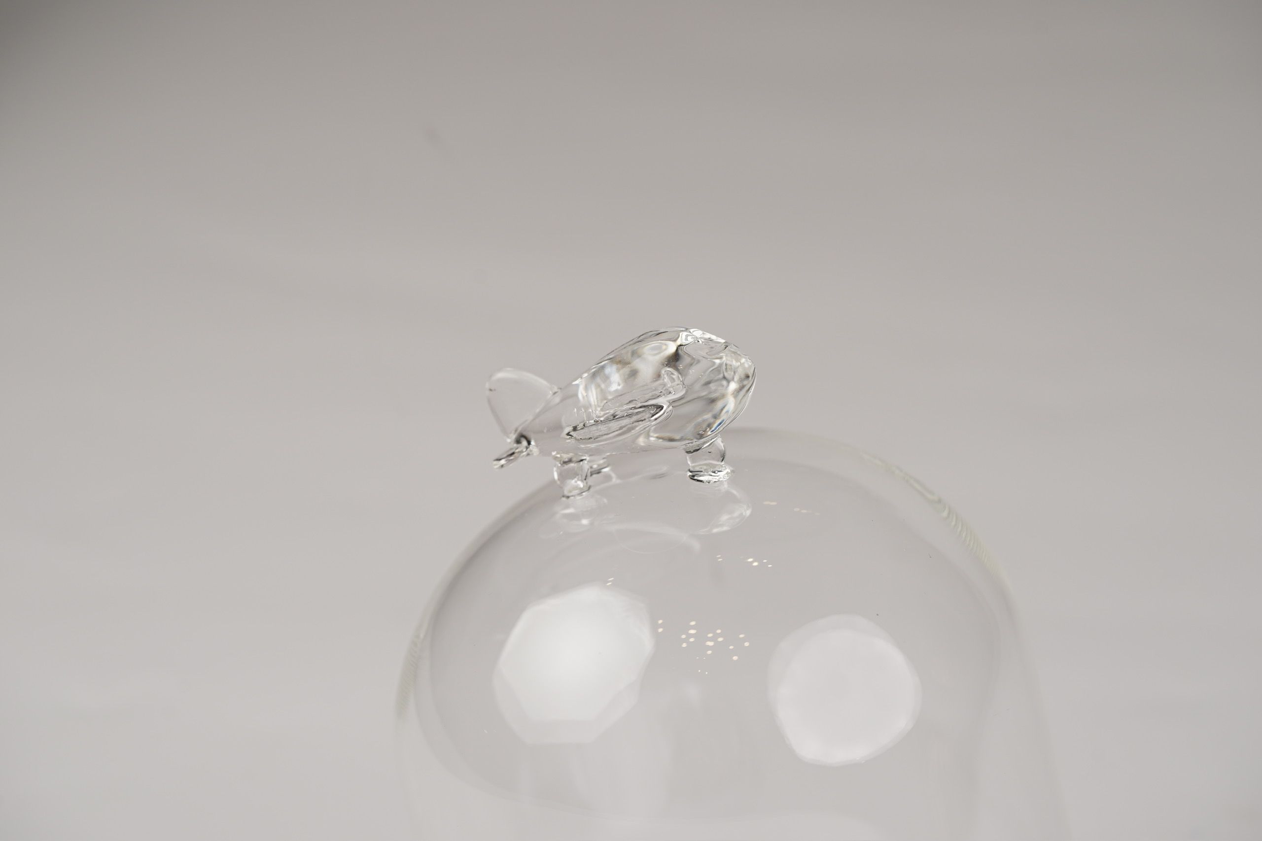 Glass Cloche - GC5903